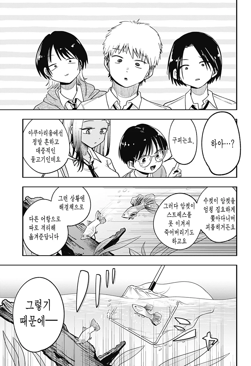흑갸루와 방과후 둘이서 manhwa (40)