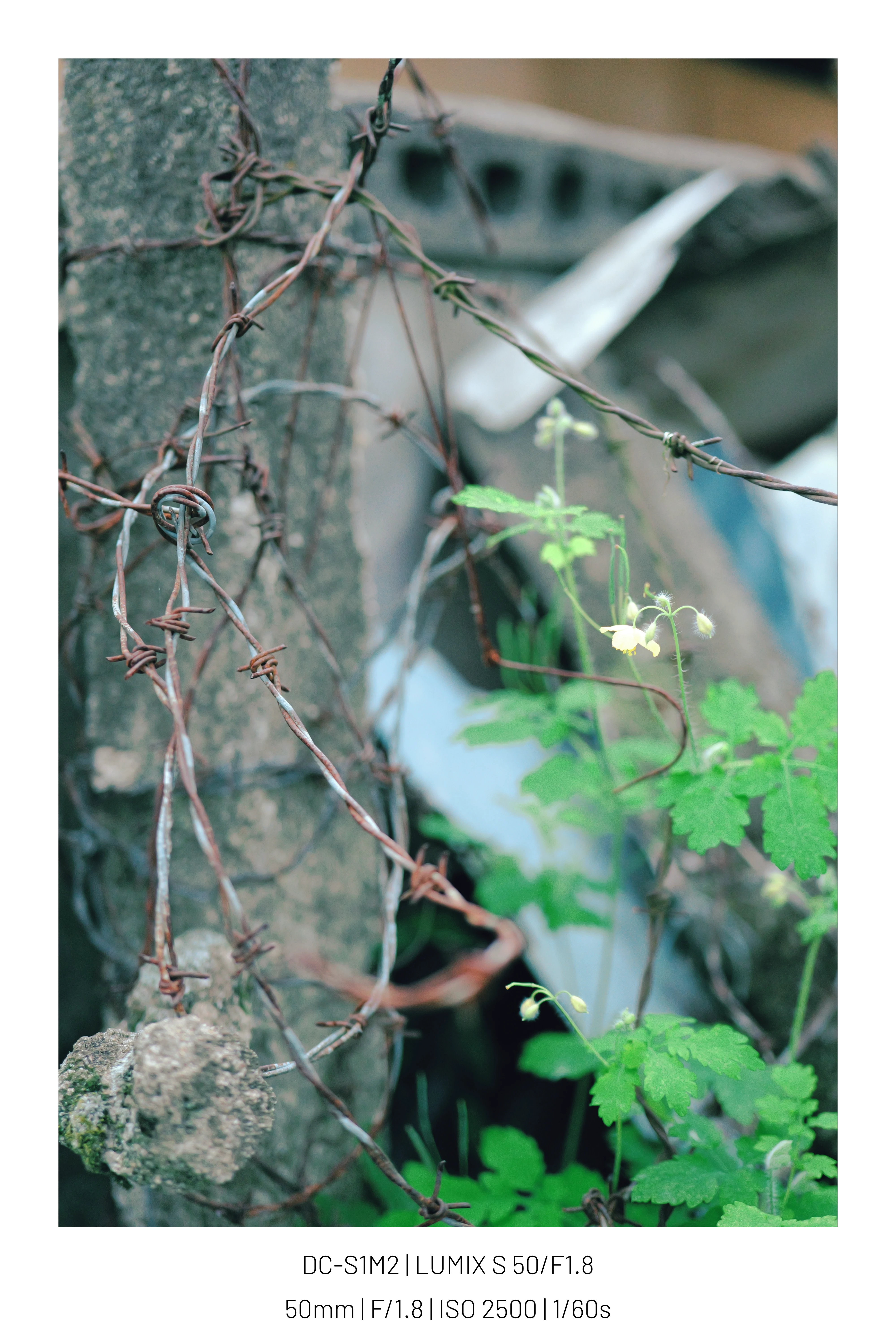 Place, Korea. (25pic (3)