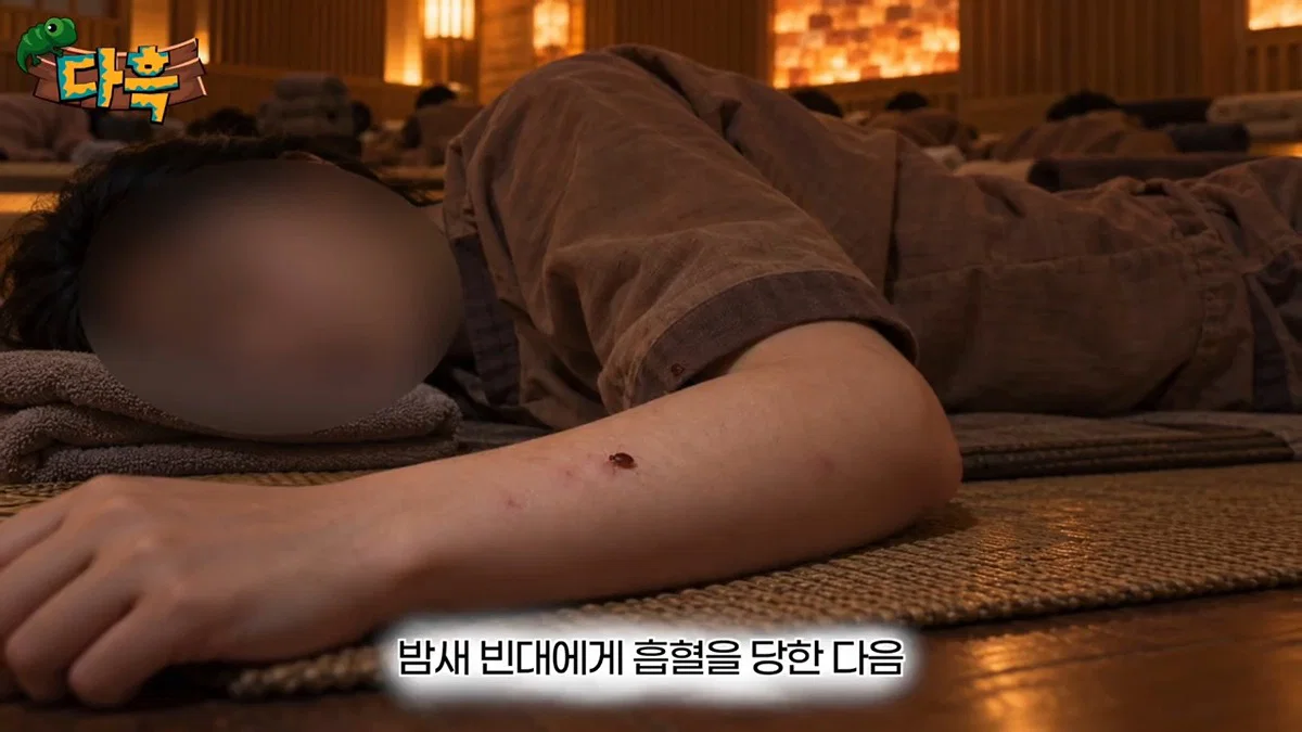 부산 찜질방 빈대 이슈 업로드한 유튜버 다흑... (24)