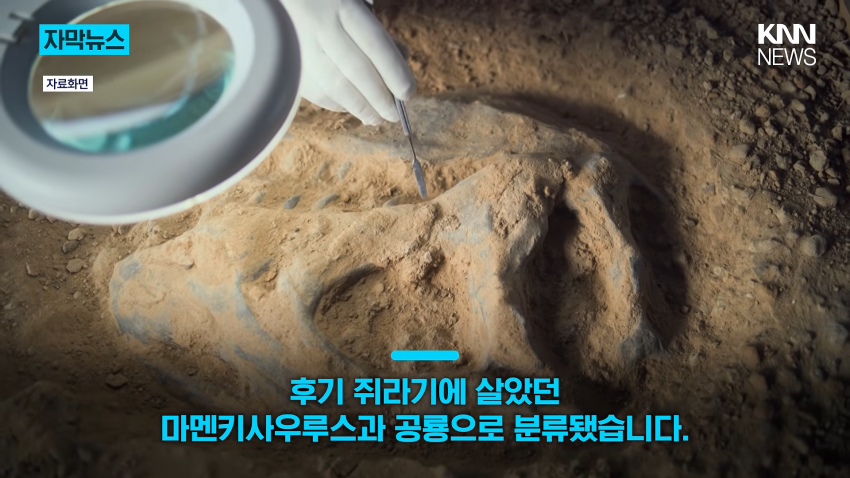 공사장에서 1억 년 전 초대형 공룡 발견 (8)