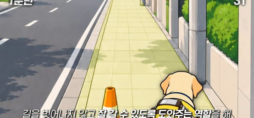 안내견은 목적지를 어떻게 아는 걸까? (18)