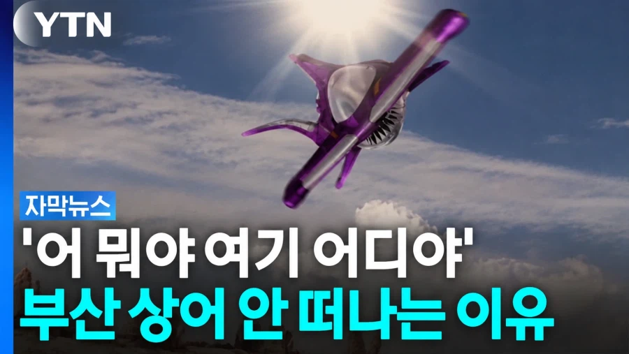 한국 동물 탈출 소동 (5)