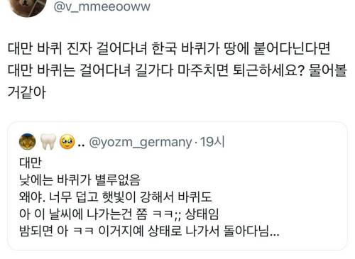 대만 낮에는 바선생이 별로 없음