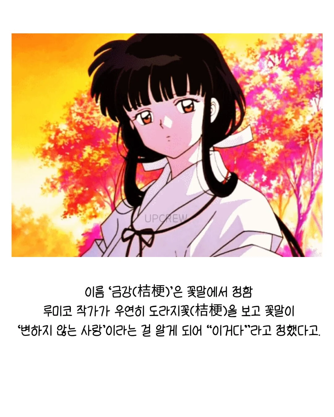 작가가 직접 밝힌 이누야샤 비하인드 (12)