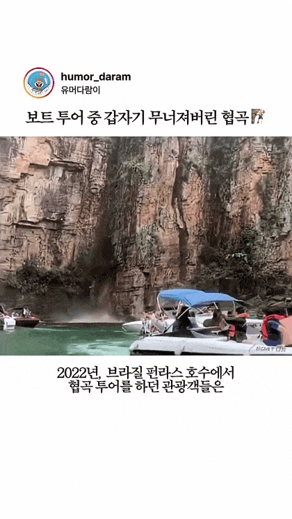 일베가 사람이 아닌 이유