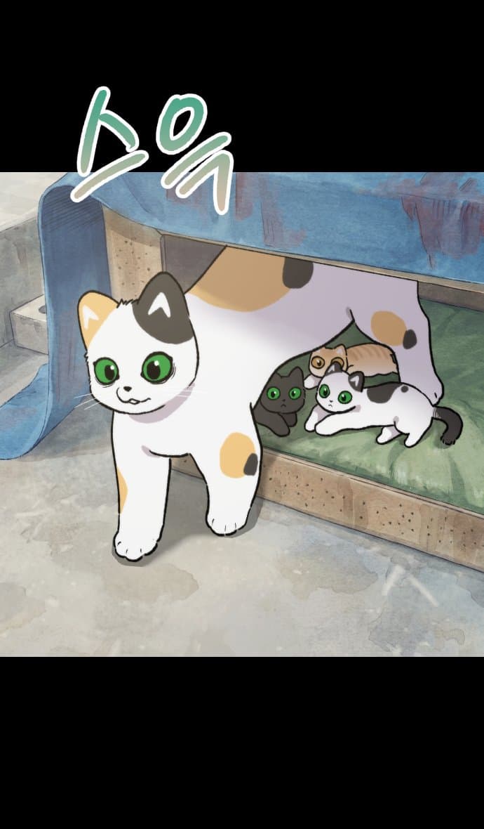 고양이 찬양 하는 만화 (27)