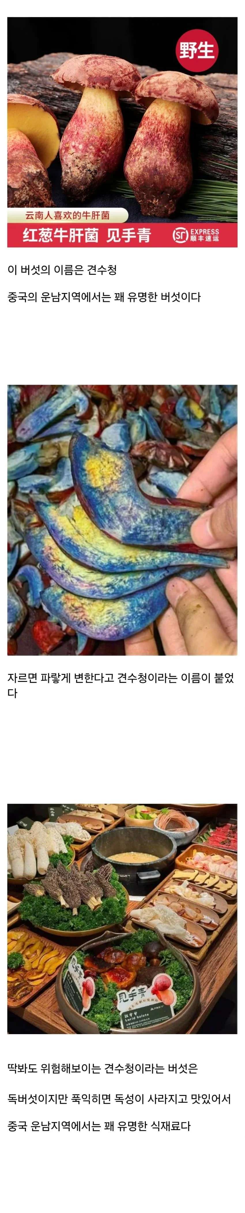 먹으면 이상한 환각이 보이는 독버섯..
