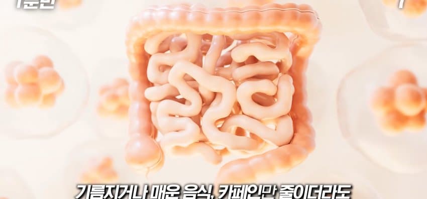 먹자마자 바로 화장실 가는 사람은 뭘까? (37)