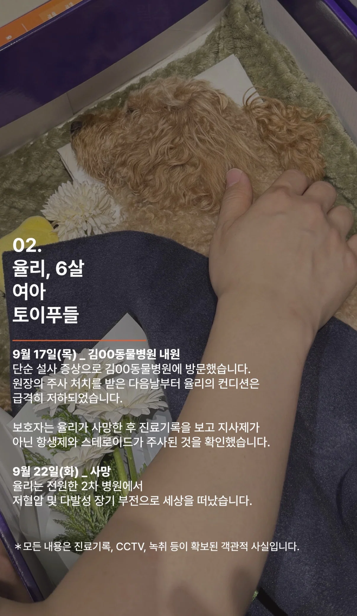 폭로 올라온 서울의 한 동물병원 (내원한 아이들 다 장기 부전으로 사망;) (7)