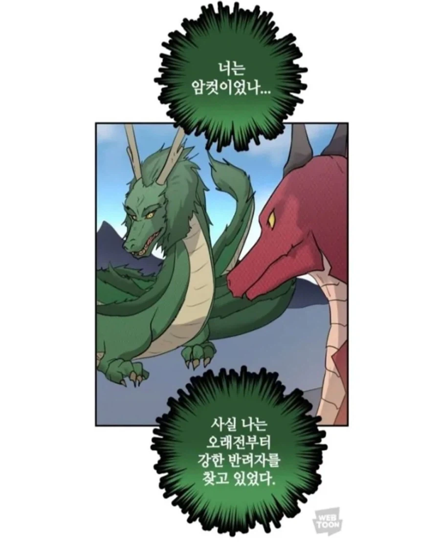 동양 용 vs 서양 용 (6)