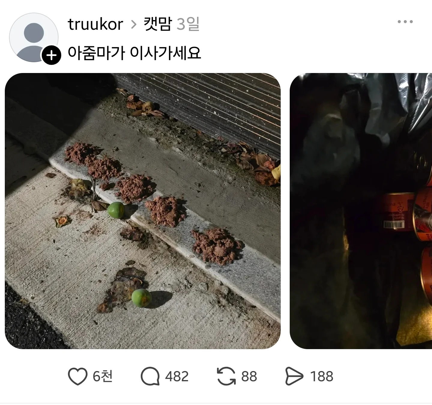 미친놈은 개미친놈처럼 상대해야함 (4)