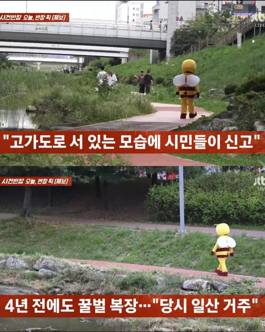 꿀벌 옷 입는 이유 (8)