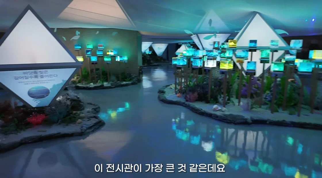 안 싱글벙글 여수국제 섬박람회 후기 (23)