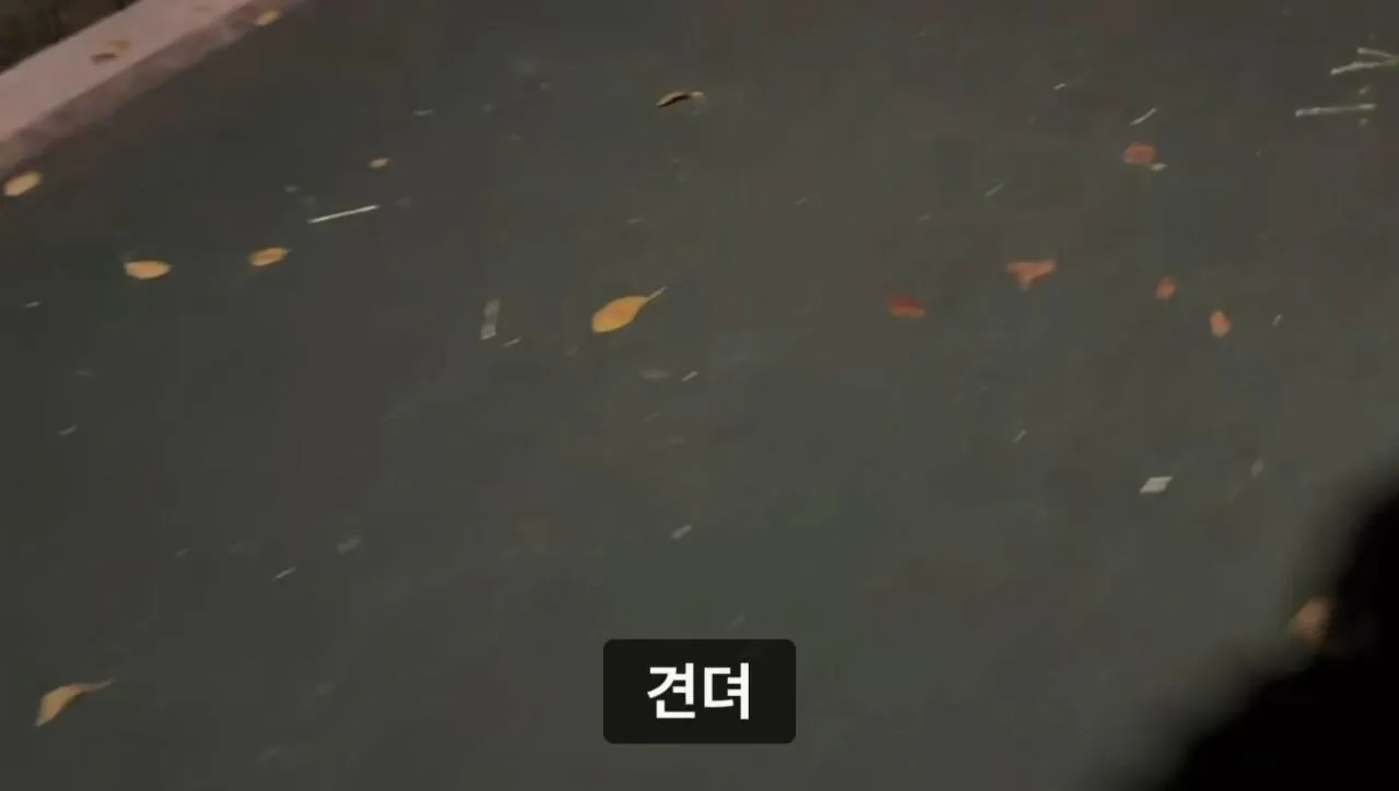 군대 안 가본 여자의 20kg 20km 행군 도전