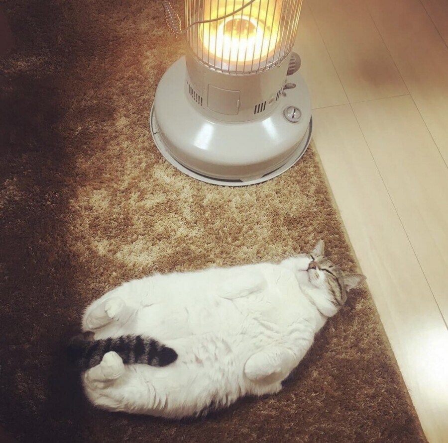이게 몸매지 ㅋㅋㅋㅋㅋ