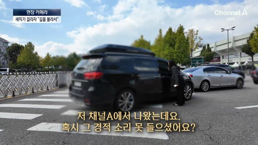 채널a) 차 머리부터 '쑥'..야구장 앞 얌체들 (15)