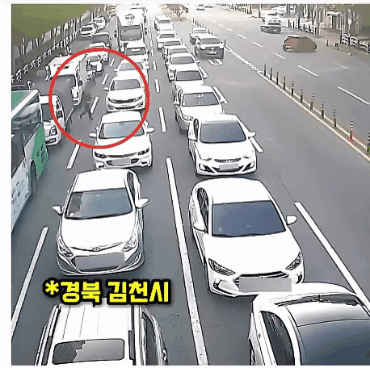 무단횡단 도중 사고 피해보상 6천만원