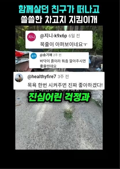 평생 목욕 한번 안 해본 차고지 지킴이 2살 한성이의 생애 첫 목욕대작전 (4)