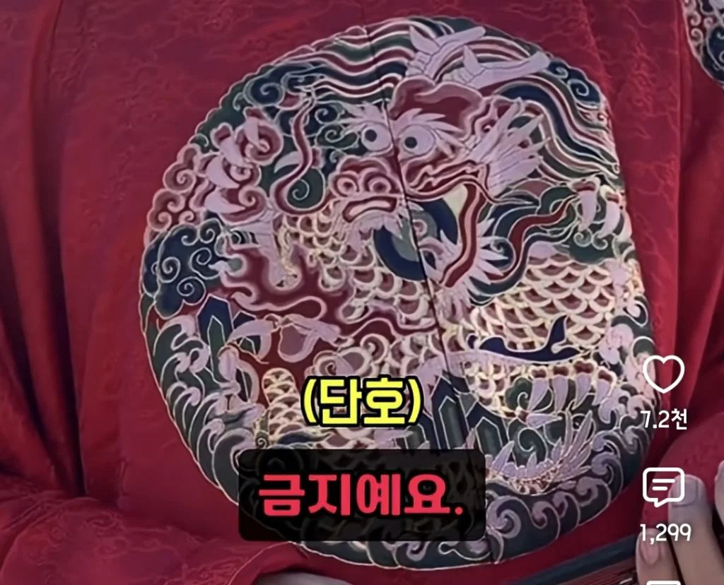 중국인들이 경복궁에서 '한푸' 입고 다니는거 앞으로 제재한다고 함 (9)