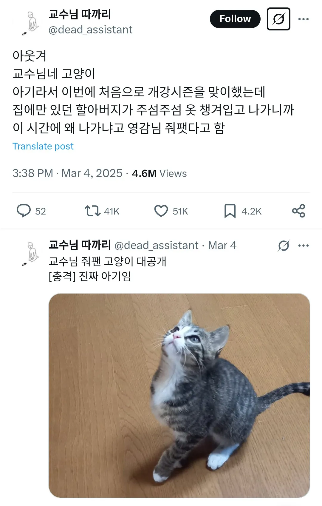 교수님네 고양이 아기라서 이번에 처음으로 개강시즌을 맞이했는데