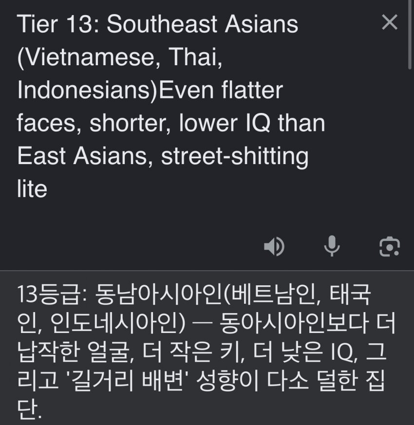 서양 커뮤에서 만든 인종 순위 20단계 (19)