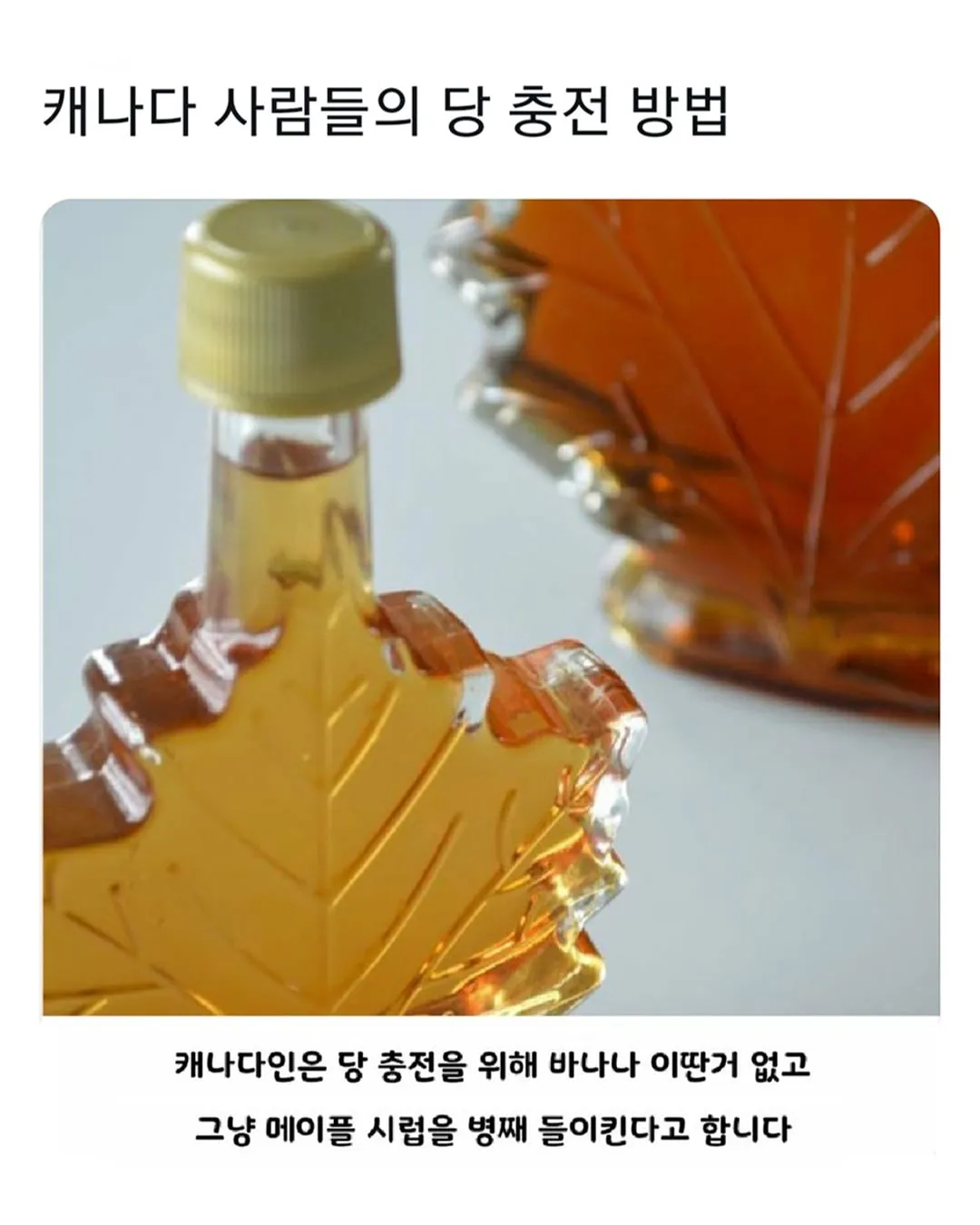 캐나다의 전략 물자 (5)