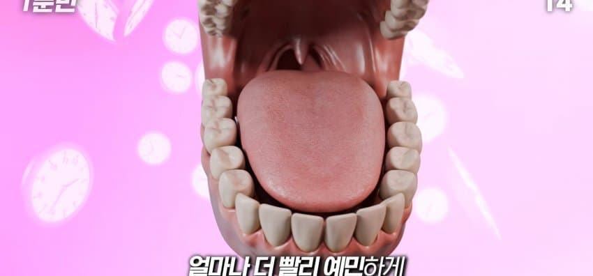 학교에서 배운 '혀 맛' 지도가 잘못됐다..? (31)