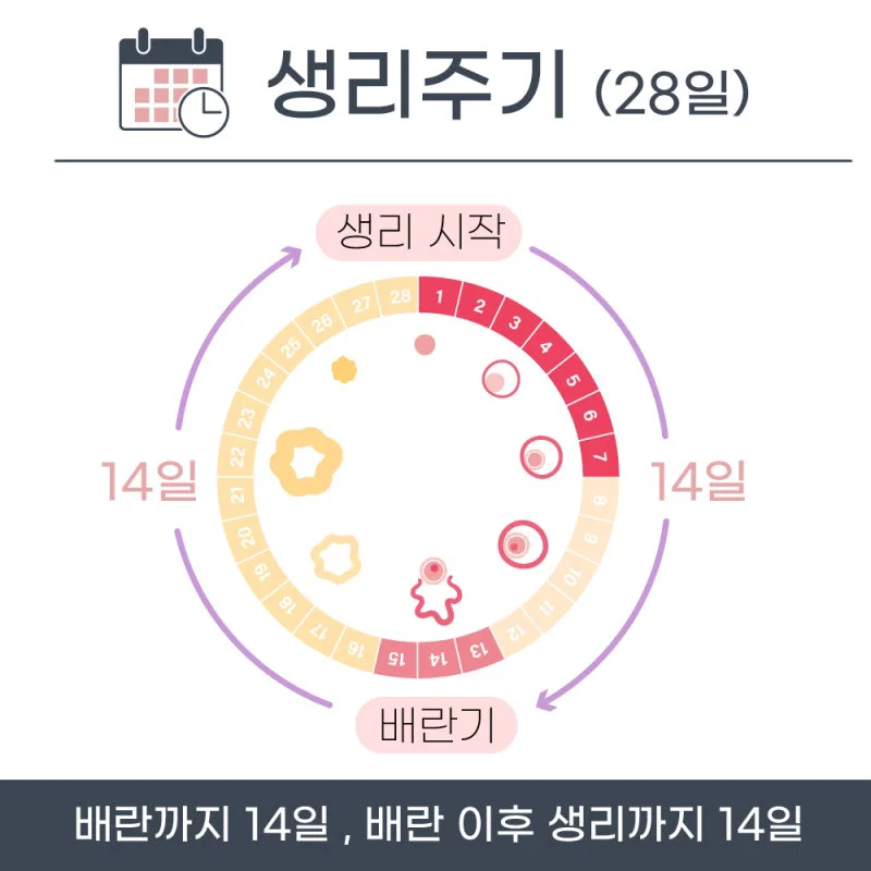 여자로 살며 평소엔 안 그러는데 내가 갑자기 이상하다고 느낄 때 확인하면 좋은 것