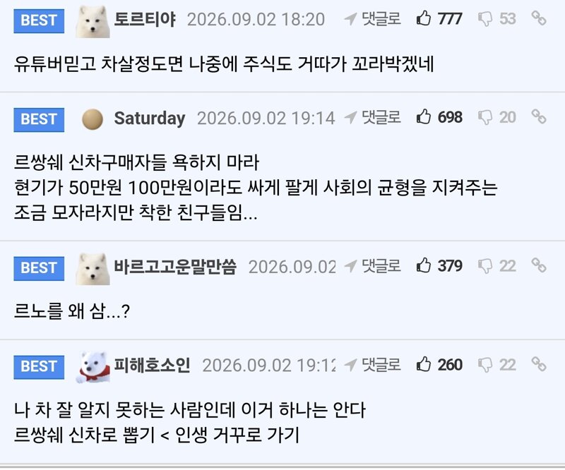유튜브 보고 차를 구입한 사람들 (2)