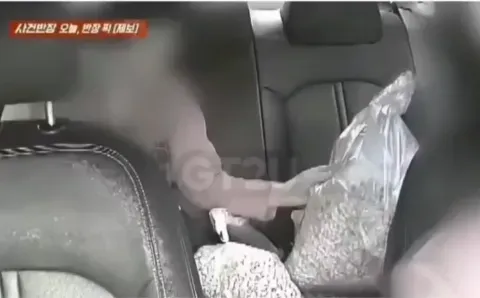 승객 먹으라고 놔둔 과자 훔쳐간 아줌마