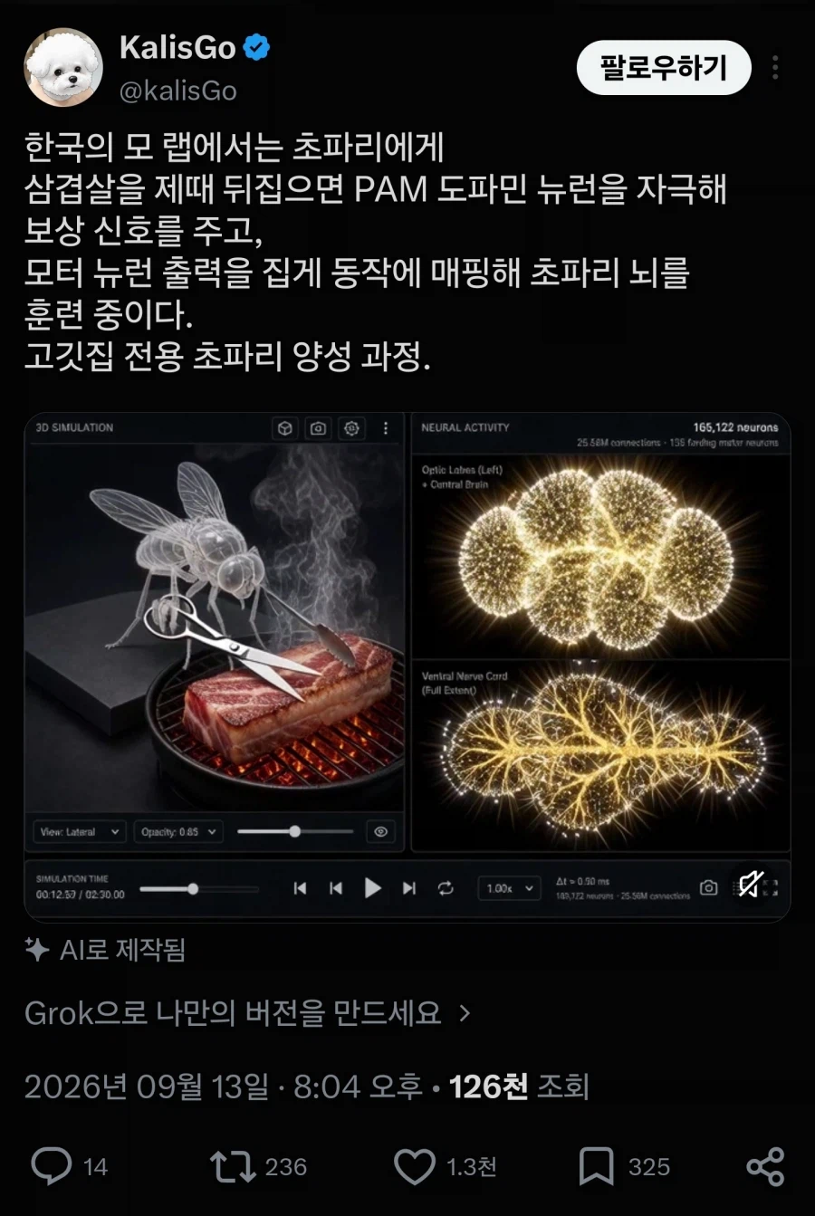 인간의 광기를 보여주는 초파리 뇌 신경망 활용 근황 (14)