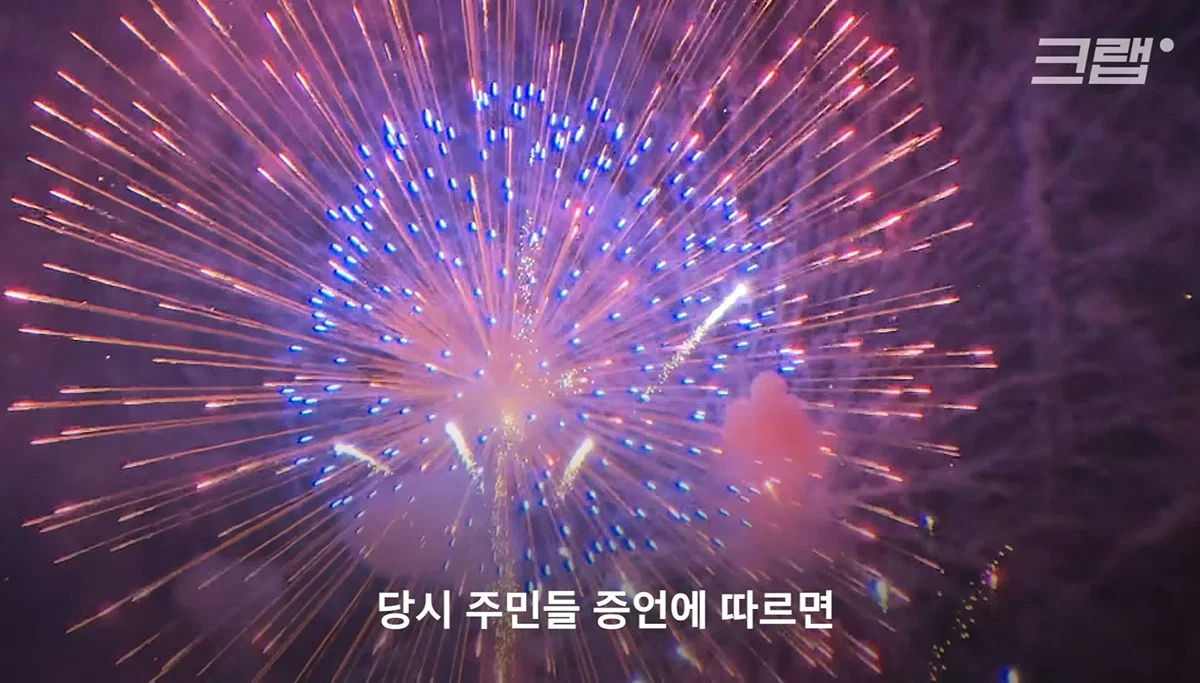 새들에겐 거의 전쟁난 수준이라는 불꽃축제 (8)