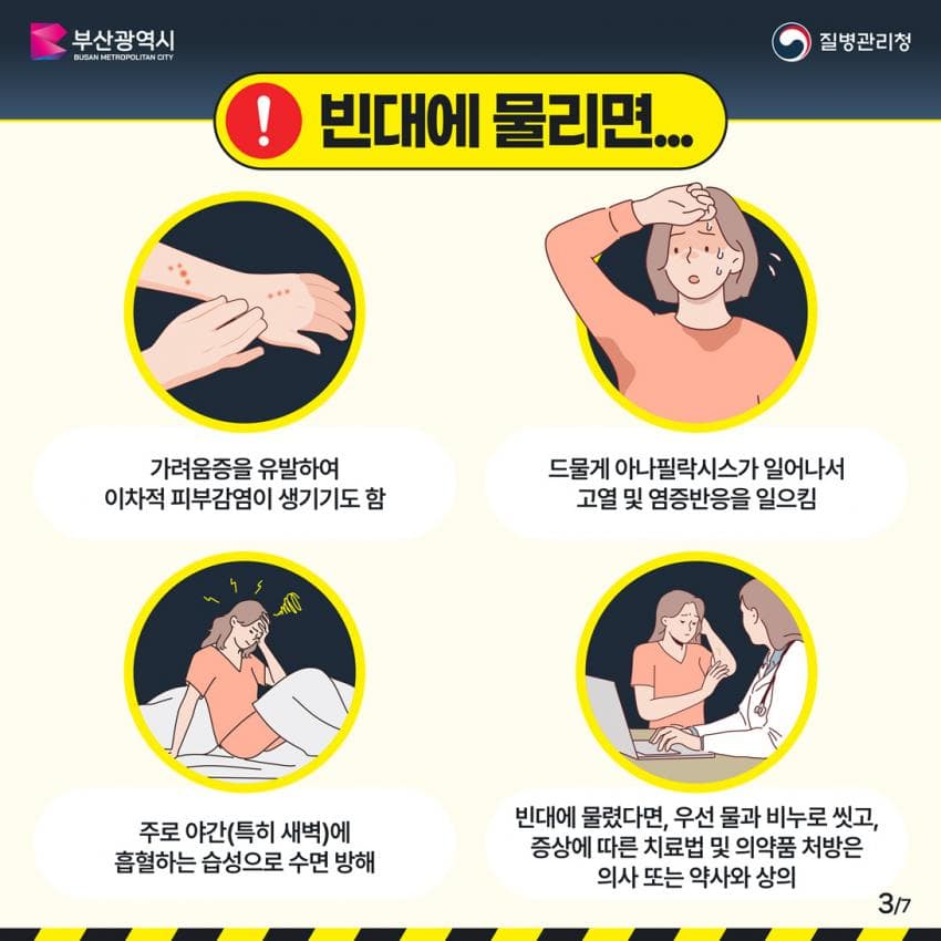 오싹오싹 부산 찜질방에 출몰해서 난리난 빈대(베드버그)상황 (47)