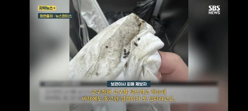 보관이사 맡겼다가 곰팡이, 벌레로 가구 다 망가진 제보자 (8)