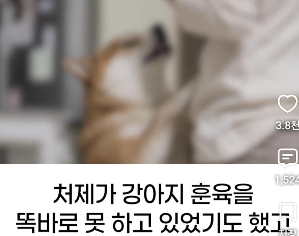 처제의 시바를 뒤지게 팼습니다 (3)