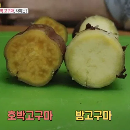 많이 갈리는 고구마 취향에 대해 얘기해보자