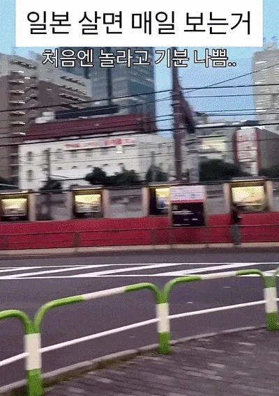 일본 살면 매일 보는거(?)