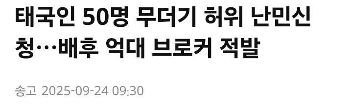 가짜 난민 브로커 적발 증가 (9)