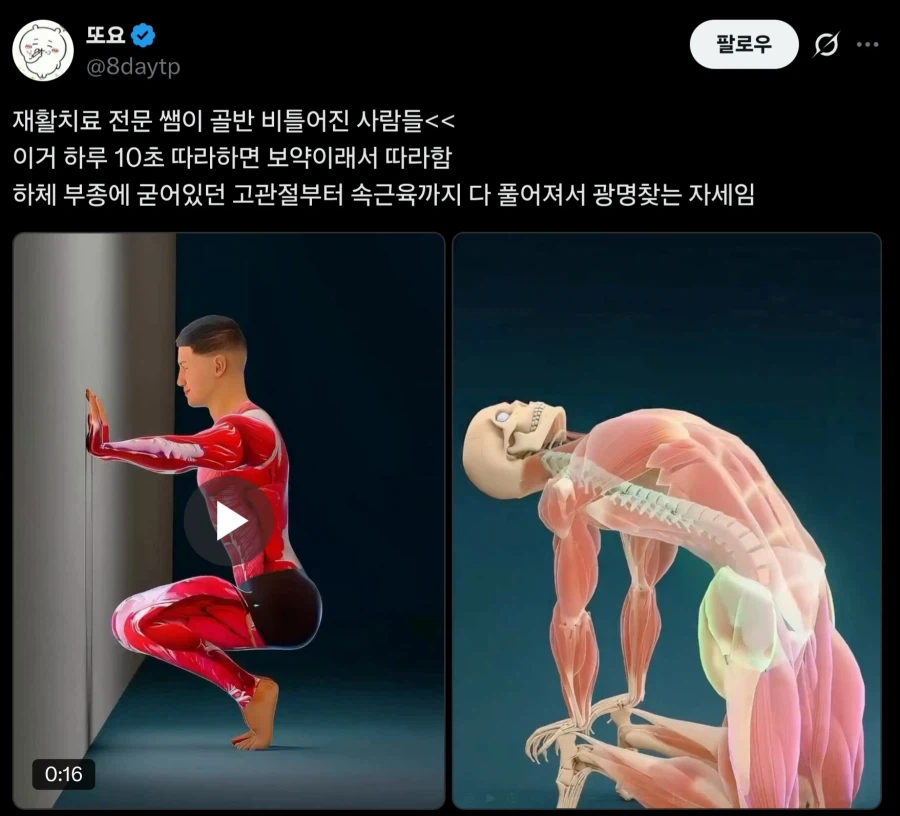 약혐)? 인터넷에서 하면 좋다는 운동 특징