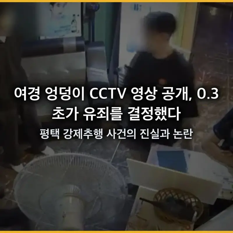(분노주의)평택 노래방 여경 강제 추행 사건 결말 (4)