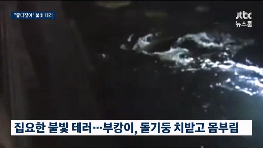 싱글벙글 부캉이 근황 (12)