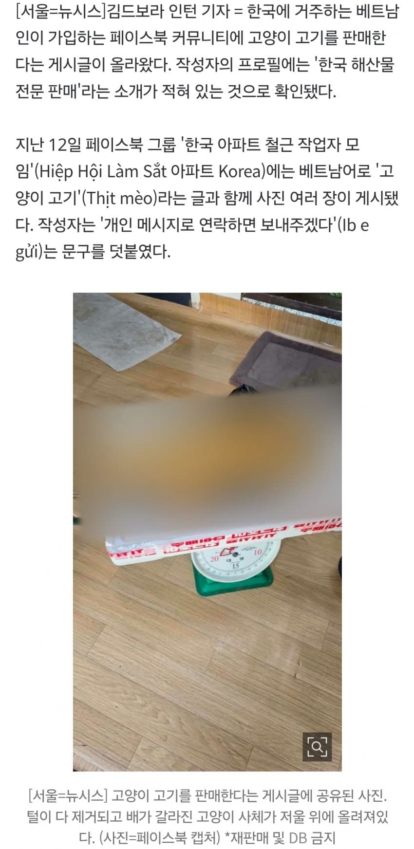 한국 거주 베트남인 커뮤니티에 '고양이 고기' 판매글 '충격' (3)