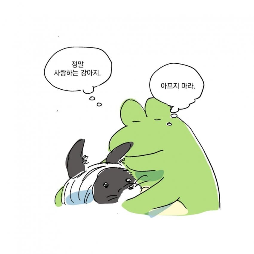 싱글벙글 개물림 사고 겪은 썰.manhwa (37)