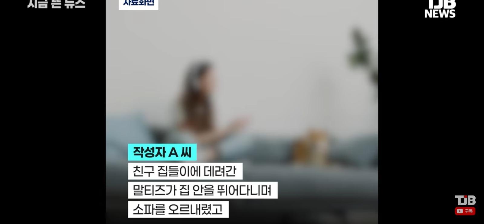 친구 집들이에 개를 데리고 갔더니 벌어진 일 (4)