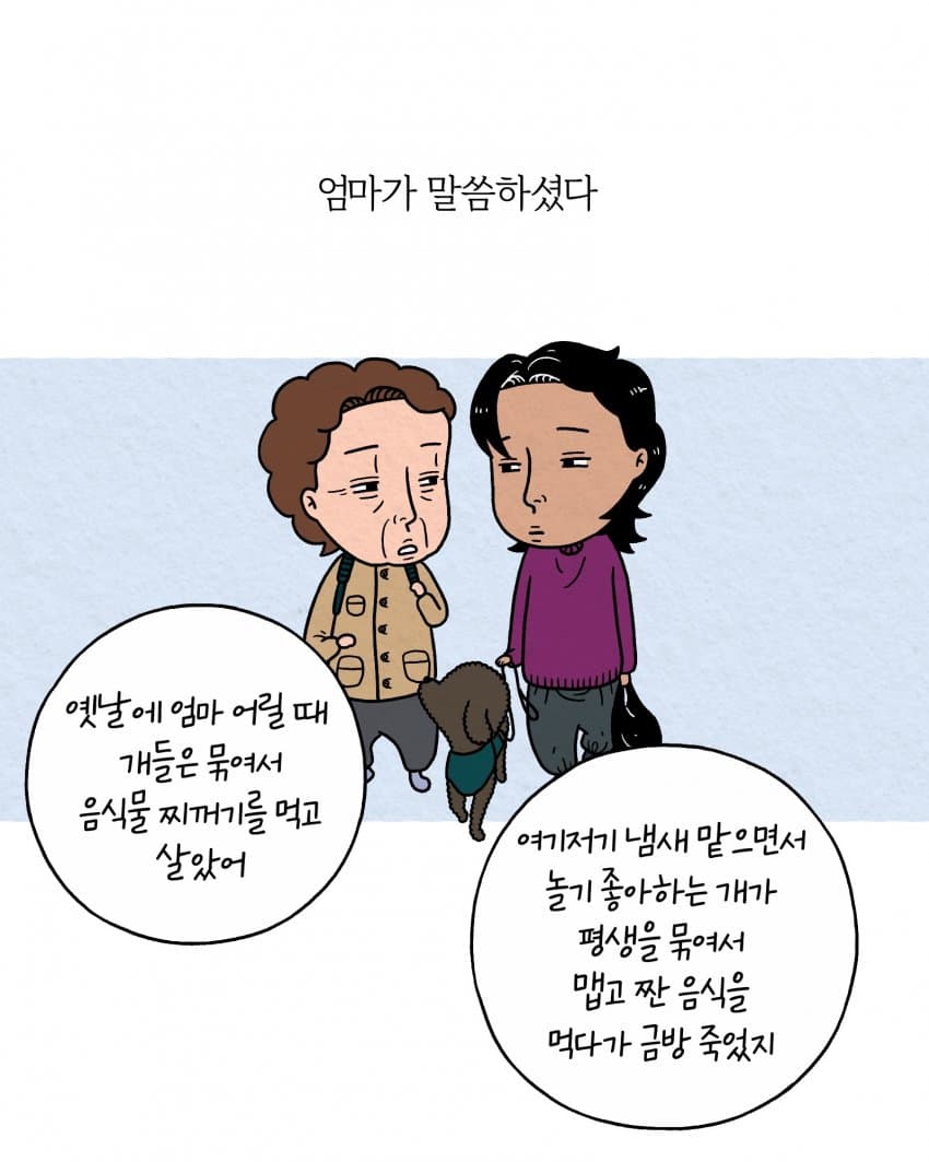 싱글벙글 개를 개답게 키우고 있습니다 (8)
