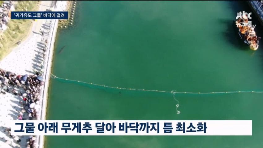 상어 부캉이 구조작업 또 실패…바다 앞서 멈췄다 (8)