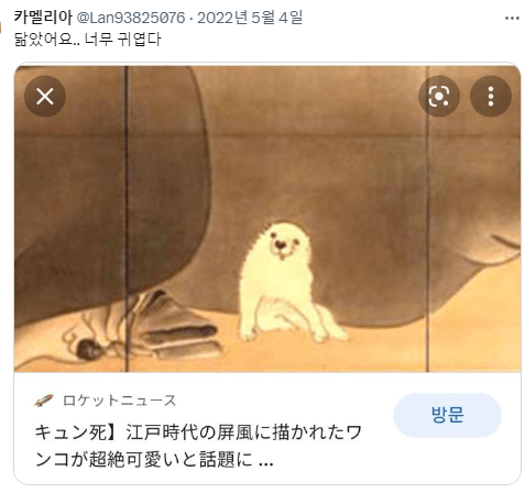 싱글벙글 반가우면 민머리 되는 댕댕이들 (4)