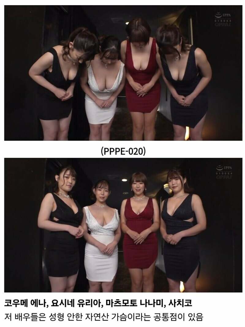 ㅇㅎ?) 호불호 갈리는 거유륙덕 여배우's. (2)