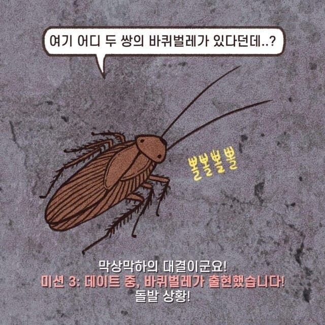 국방부 미필 저격 만화 (8)