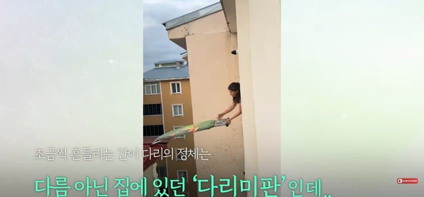 의문의 도구로, 지붕 위 고양이 구한 친구들 (7)